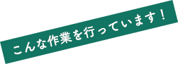 こんな作業を行っています！